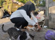 Street Feeding Cara AKP Dwi Belajar Ikhlas Melalui Kucing