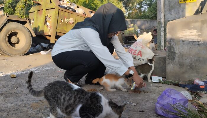 Street Feeding Cara AKP Dwi Belajar Ikhlas Melalui Kucing