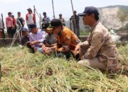 Pemkab Cirebon Tengah Uji Coba Penanaman Bawang Merah Dari Biji