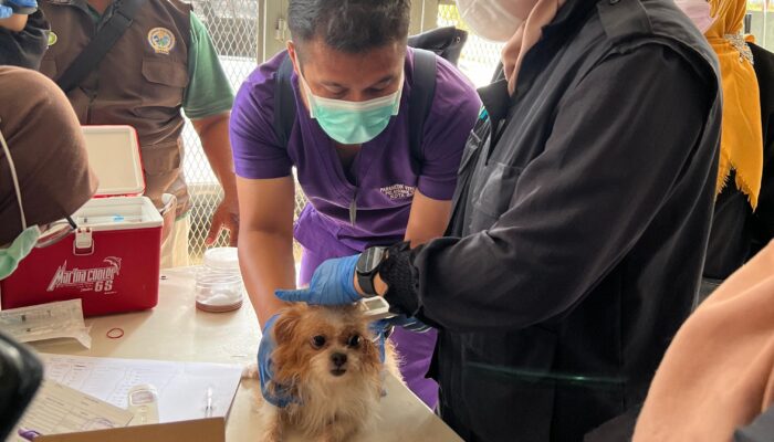 51 Anabul di Pegambiran Harmoni Ikuti Visit Vaksin Rabies Gratis