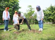 Segera, Pemkab Akan Tata Ulang Taman Hutan Kota Sumber