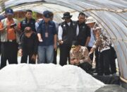 2025, Pemkab Cirebon Akan Beri 10 Unit Tunnel dan Gudang Garam Bagi Petani di Losari