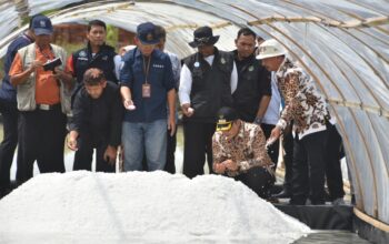 2025, Pemkab Cirebon Akan Beri 10 Unit Tunnel dan Gudang Garam Bagi Petani di Losari