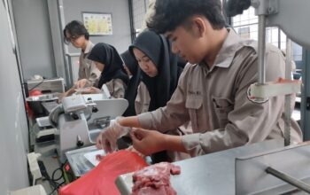 Sambut Akhir Tahun, Prodi Peternakan UMC Kembali Gelar Praktikum Pembuatan Slice Beef MU