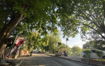 BMKG : Peringatkan Warga Potensi Angin Kencang  Hindari Pohon Besar Saat Berada Di Luar