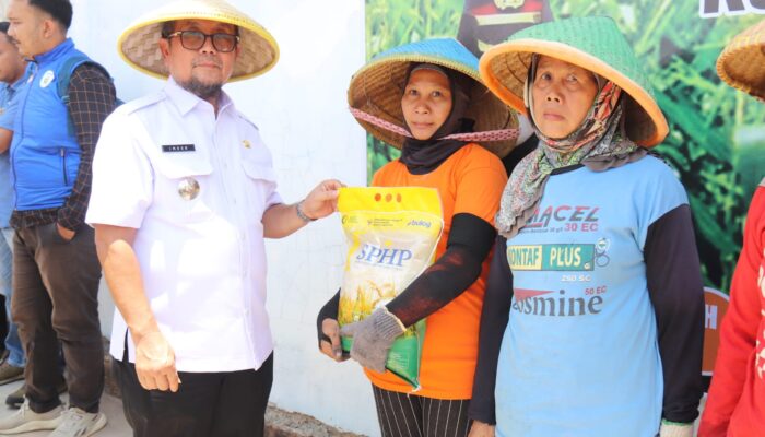 Pemkab dan Polresta Cirebon Bersatu Wujudkan Ketahanan Pangan Lewat Penanaman Jagung Pipil