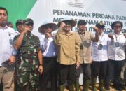Cirebon Jadi Lokasi Awal Program Pertanian Digital “Tanam Sekali, Panen Empat Kali”