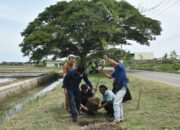 Penataan Jalur Playangan–Bojong Negara Dimulai dengan Penanaman Pohon