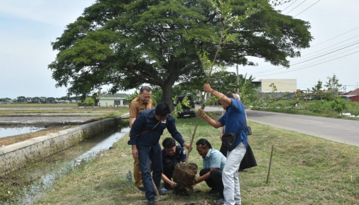 Penataan Jalur Playangan–Bojong Negara Dimulai dengan Penanaman Pohon